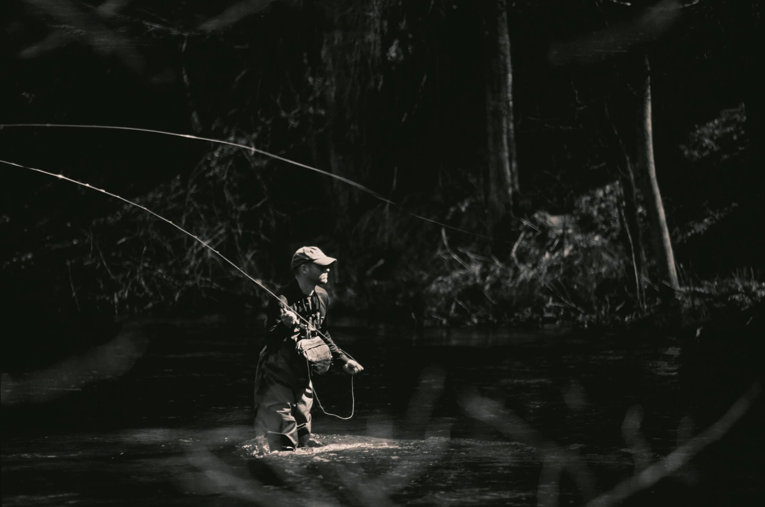 Steven Wohlwender, Photographer, Director, California USA
