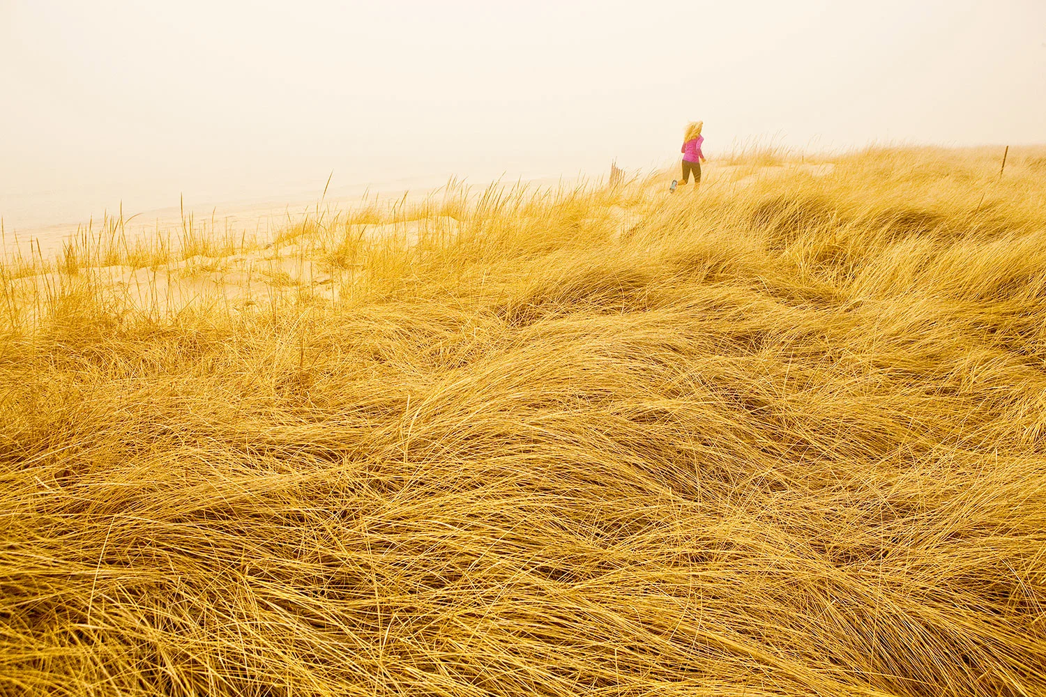 Steven Wohlwender, Photographer, Director, California USA