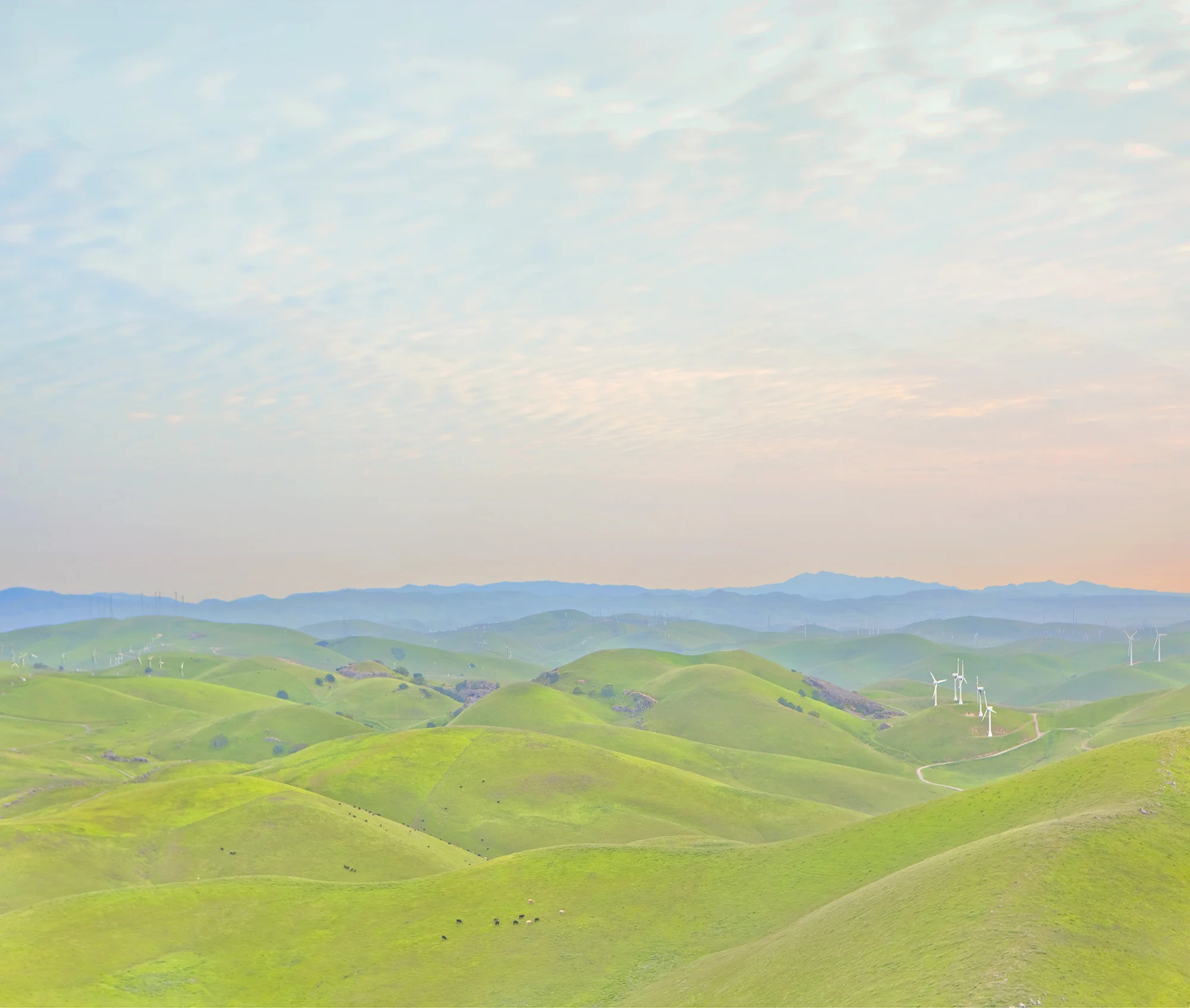Steven Wohlwender, Photographer, Director, California USA