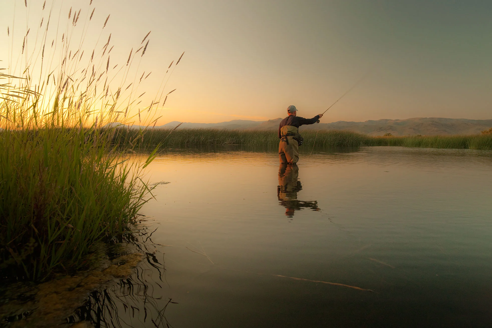 Steven Wohlwender, Photographer, Director, California USA