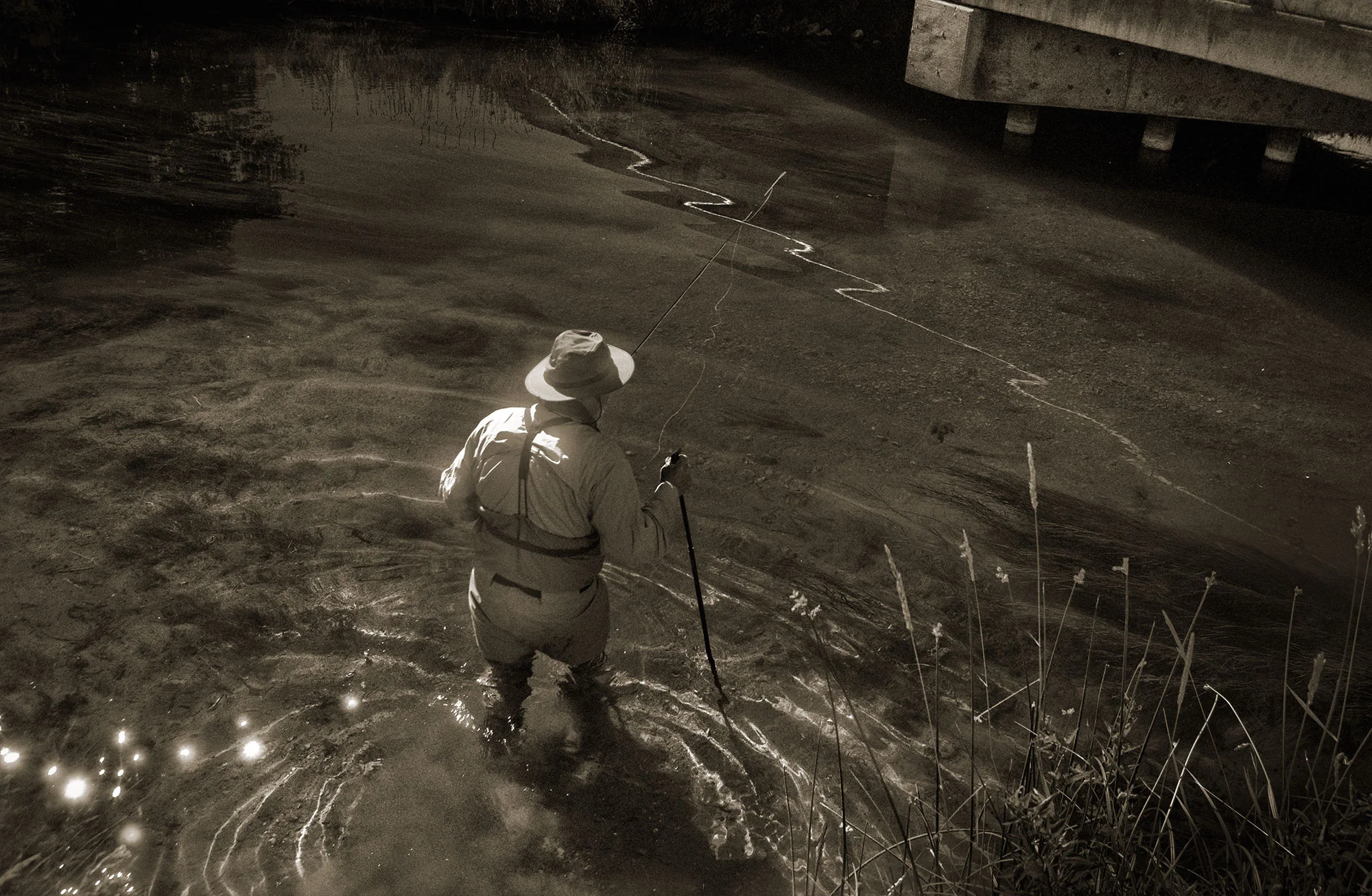 Steven Wohlwender, Photographer, Director, California USA
