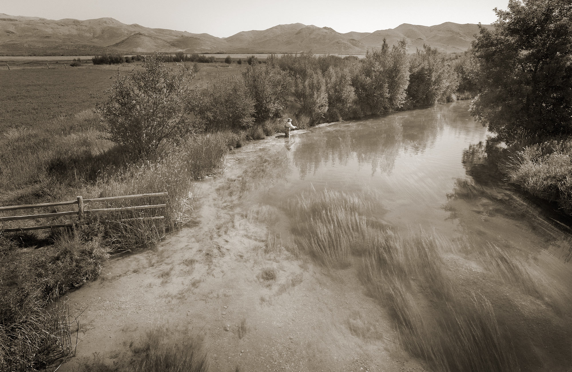 Steven Wohlwender, Photographer, Director, California USA