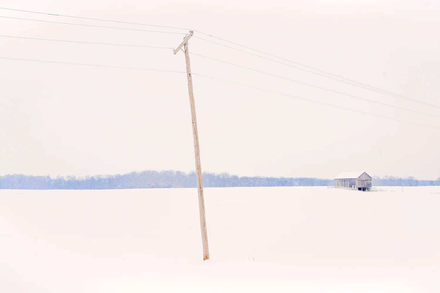 Steven Wohlwender, Photographer, Director, California USA