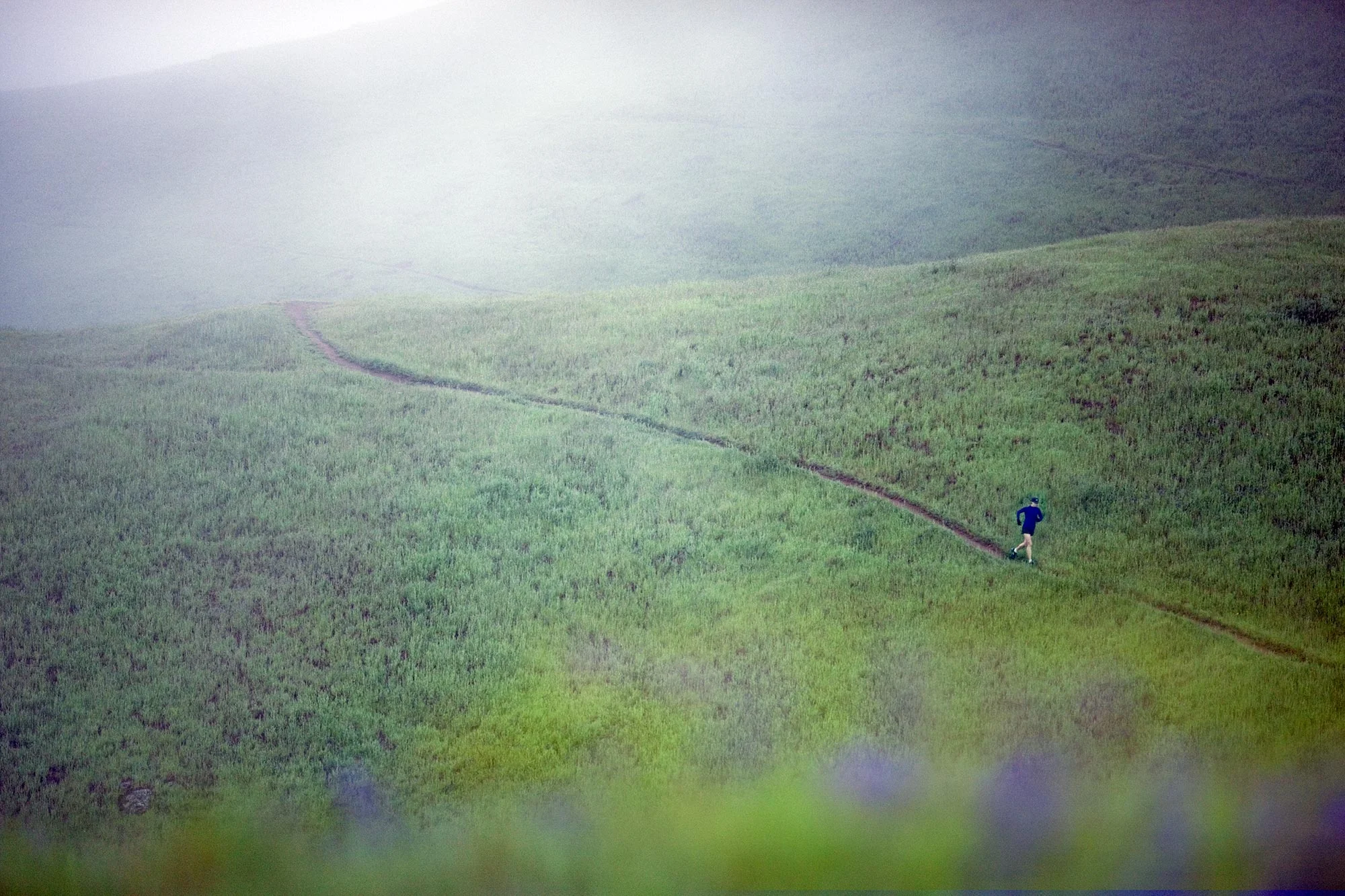 Steven Wohlwender, Photographer, Director, California USA