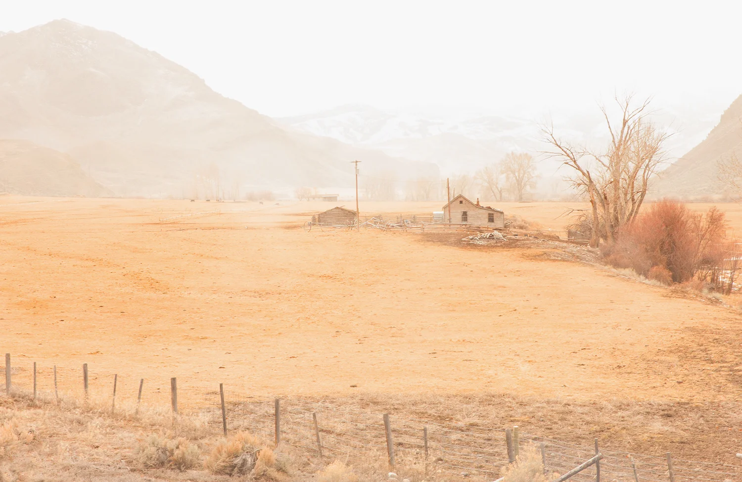 Steven Wohlwender, Photographer, Director, California USA