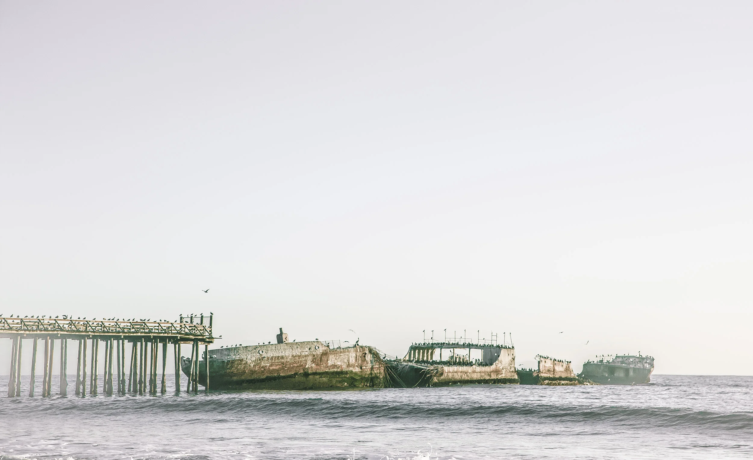 Steven Wohlwender, Photographer, Director, California USA