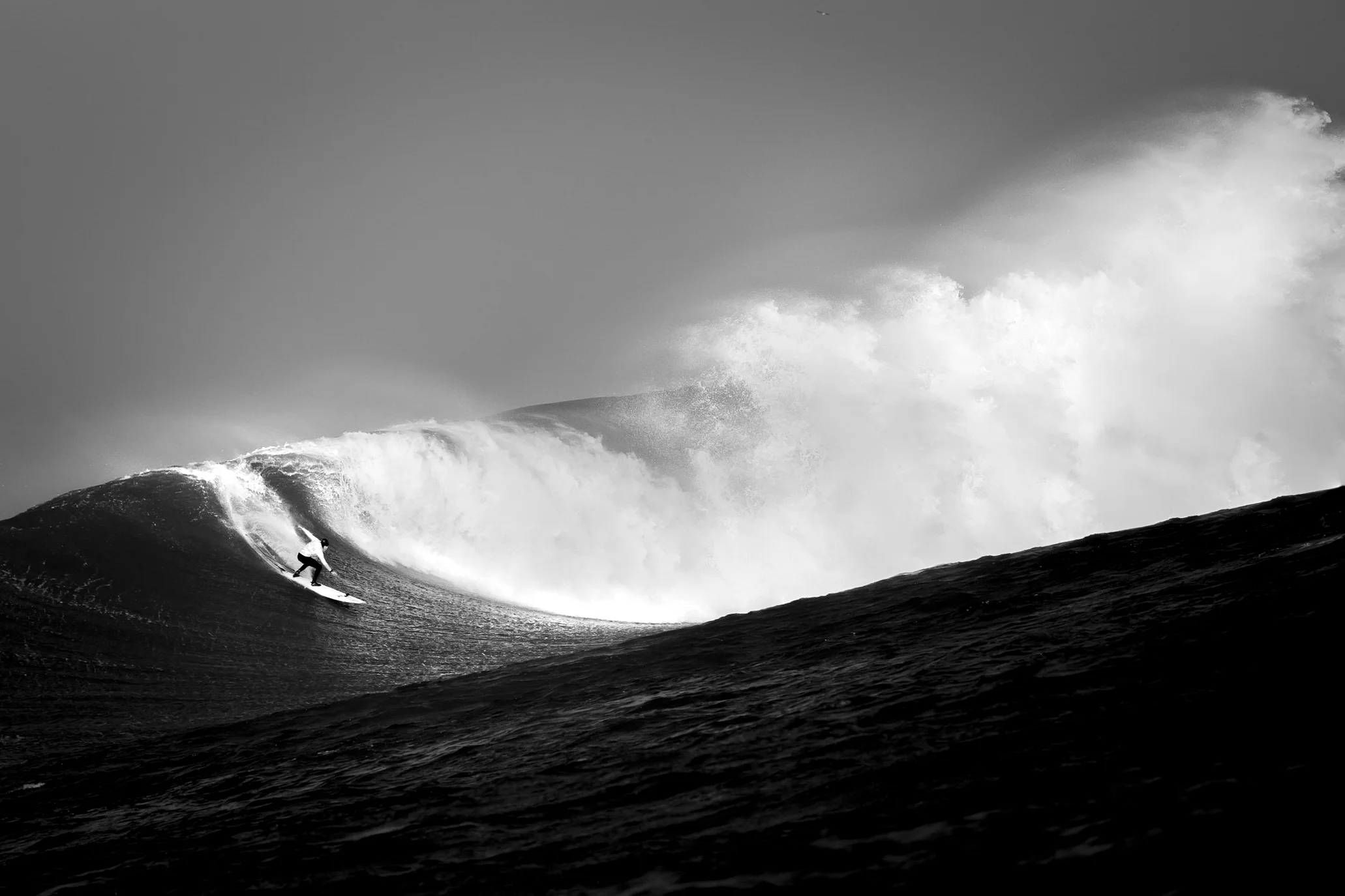 Steven Wohlwender, Photographer, Director, California USA