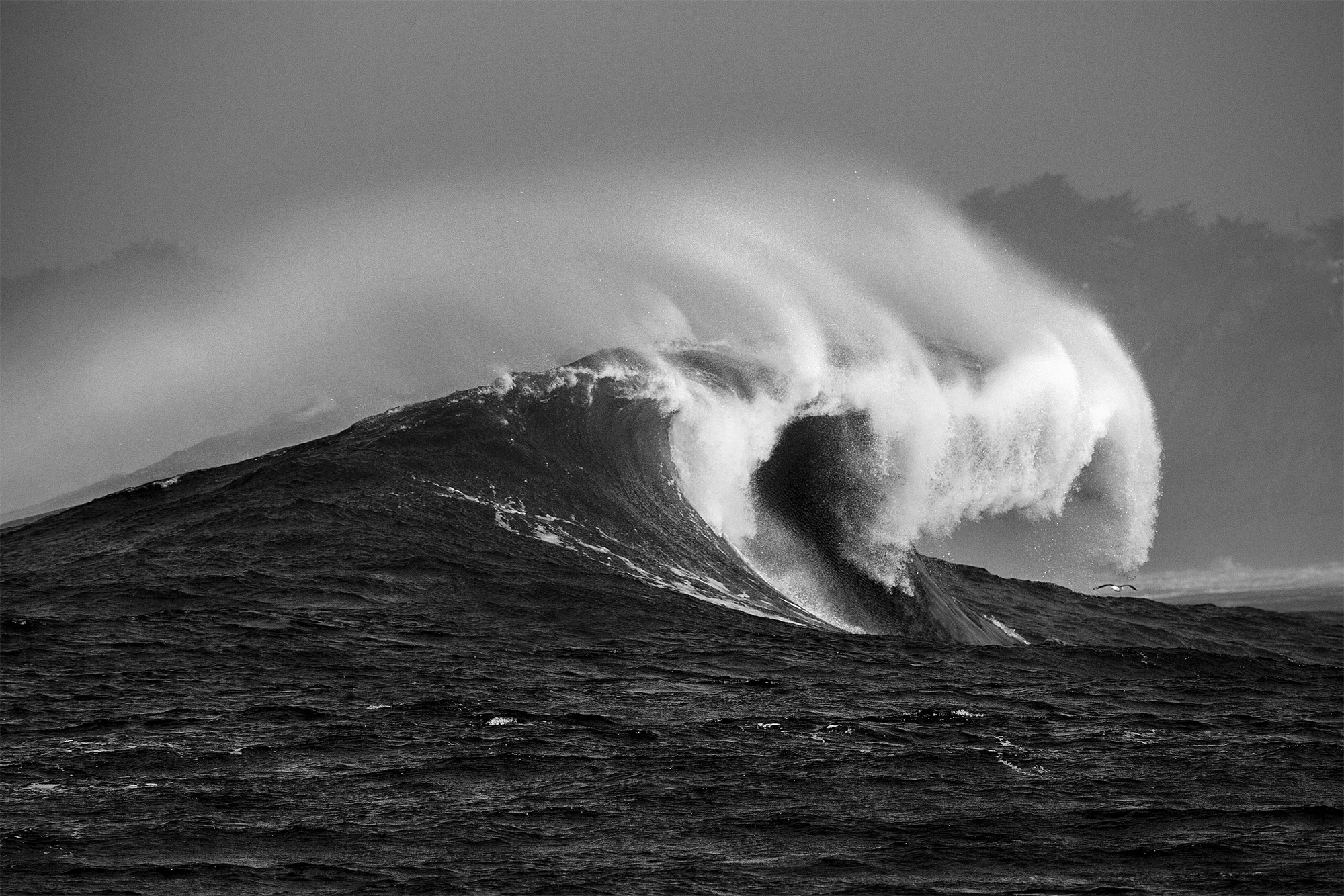 Steven Wohlwender, Photographer, Director, California USA