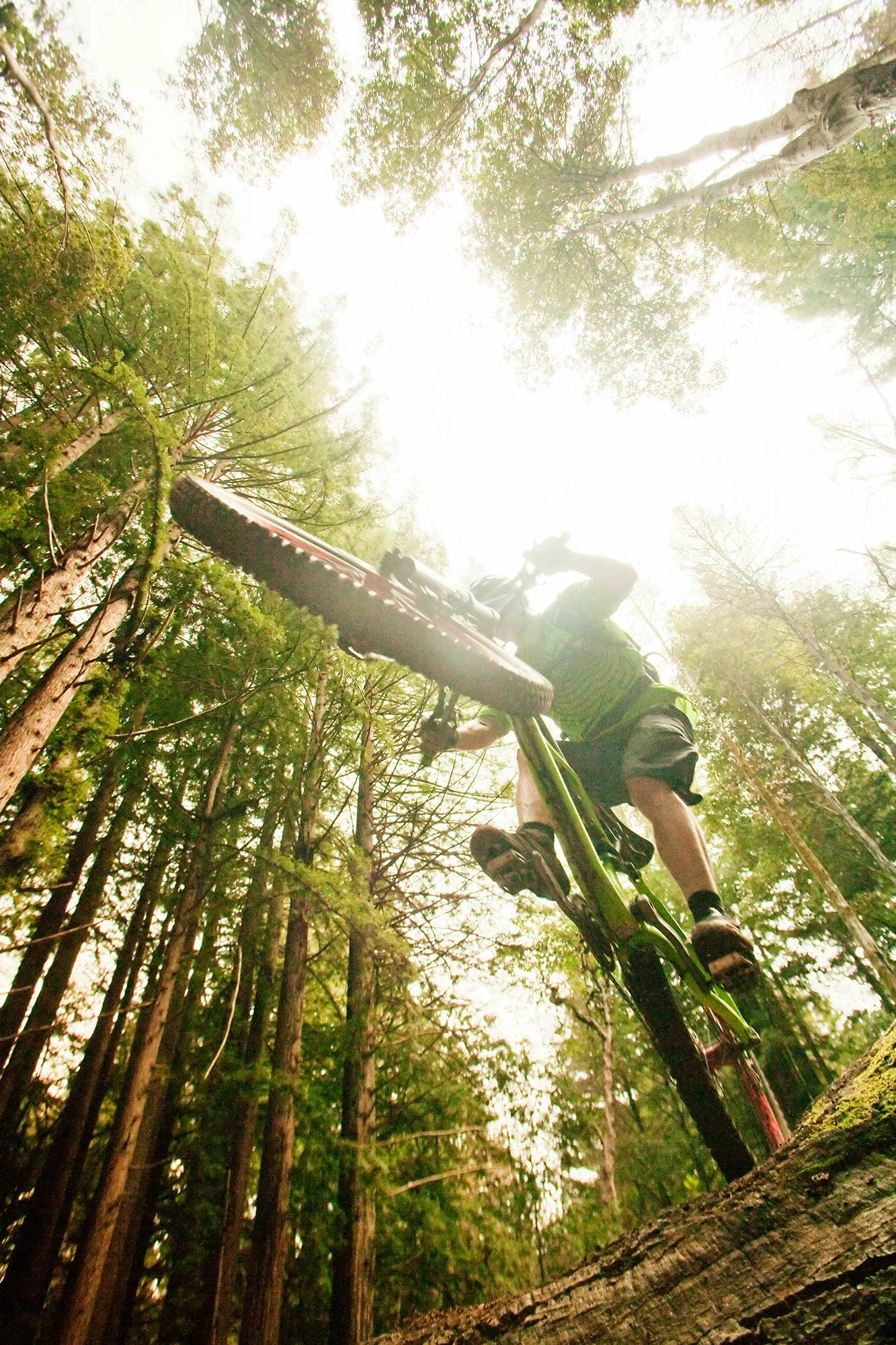 Steven Wohlwender, Photographer, Director, California USA