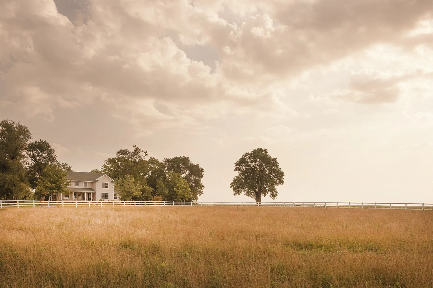 Steven Wohlwender, Photographer, Director, California USA