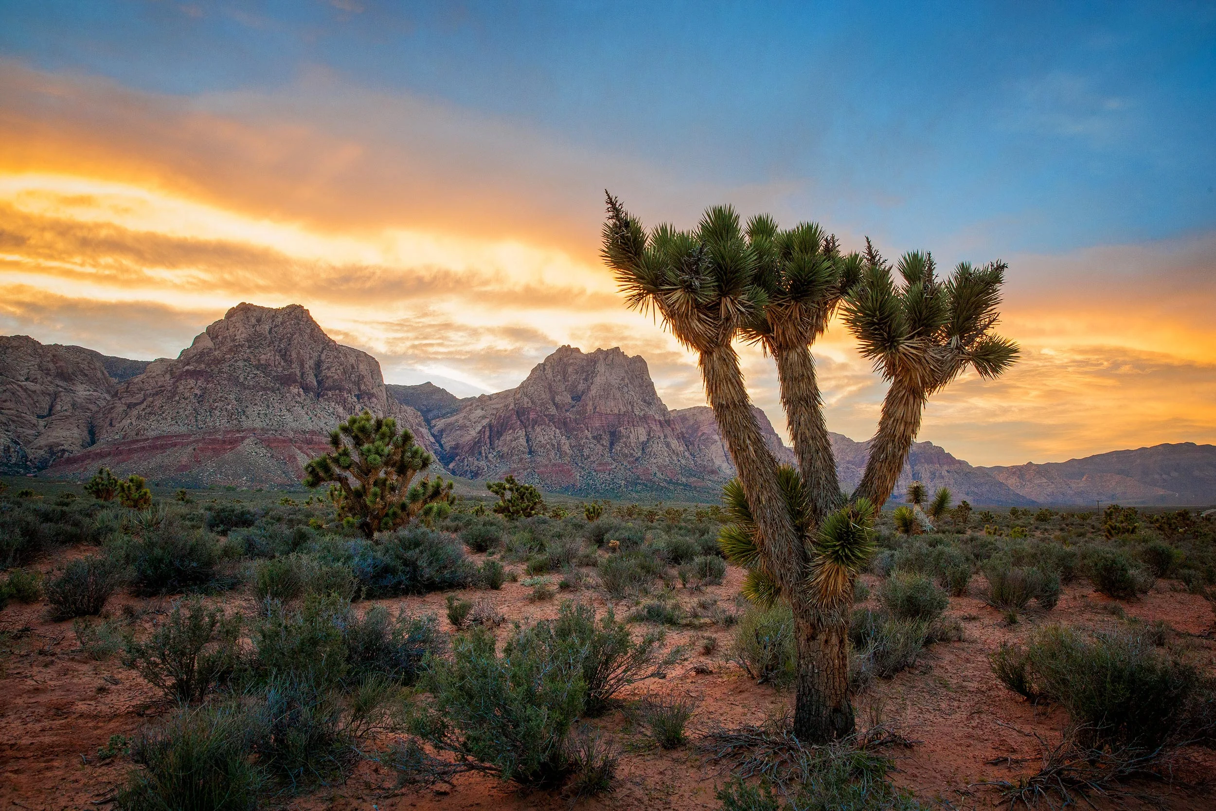 Steven Wohlwender, Photographer, Director, California USA