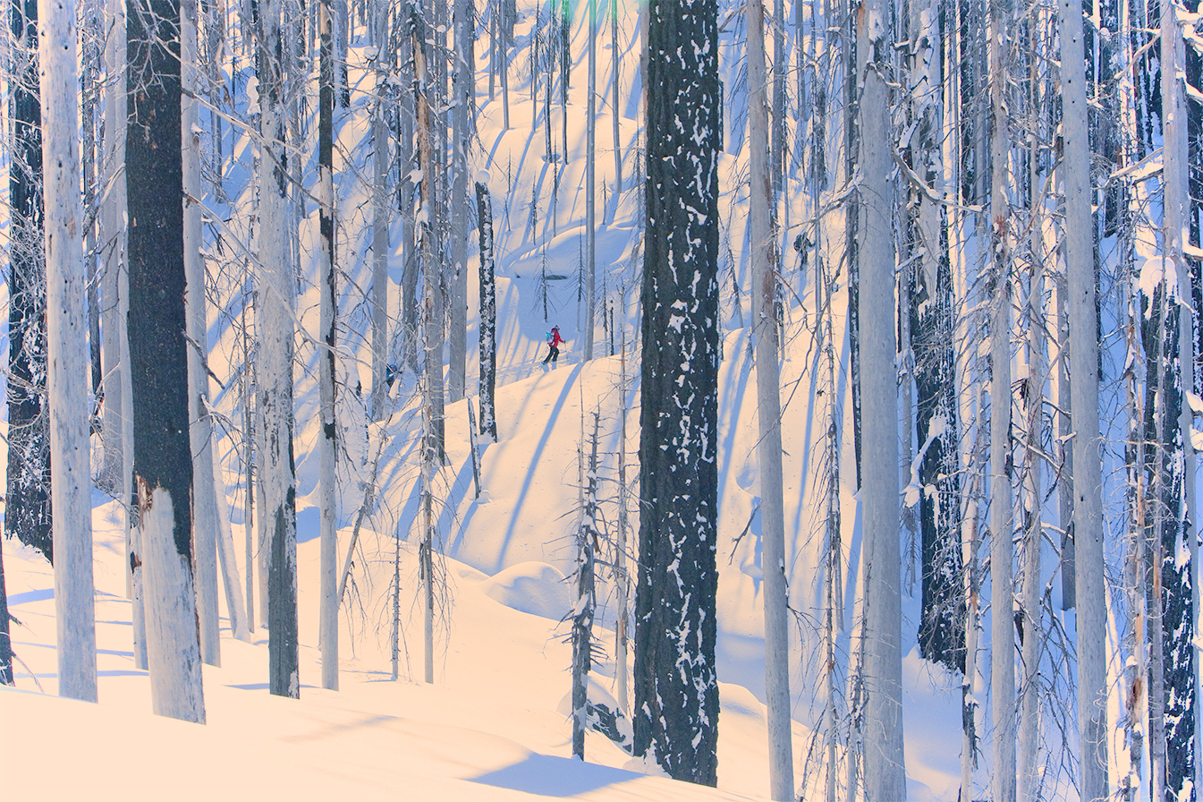 cli-0211-134r.jpg