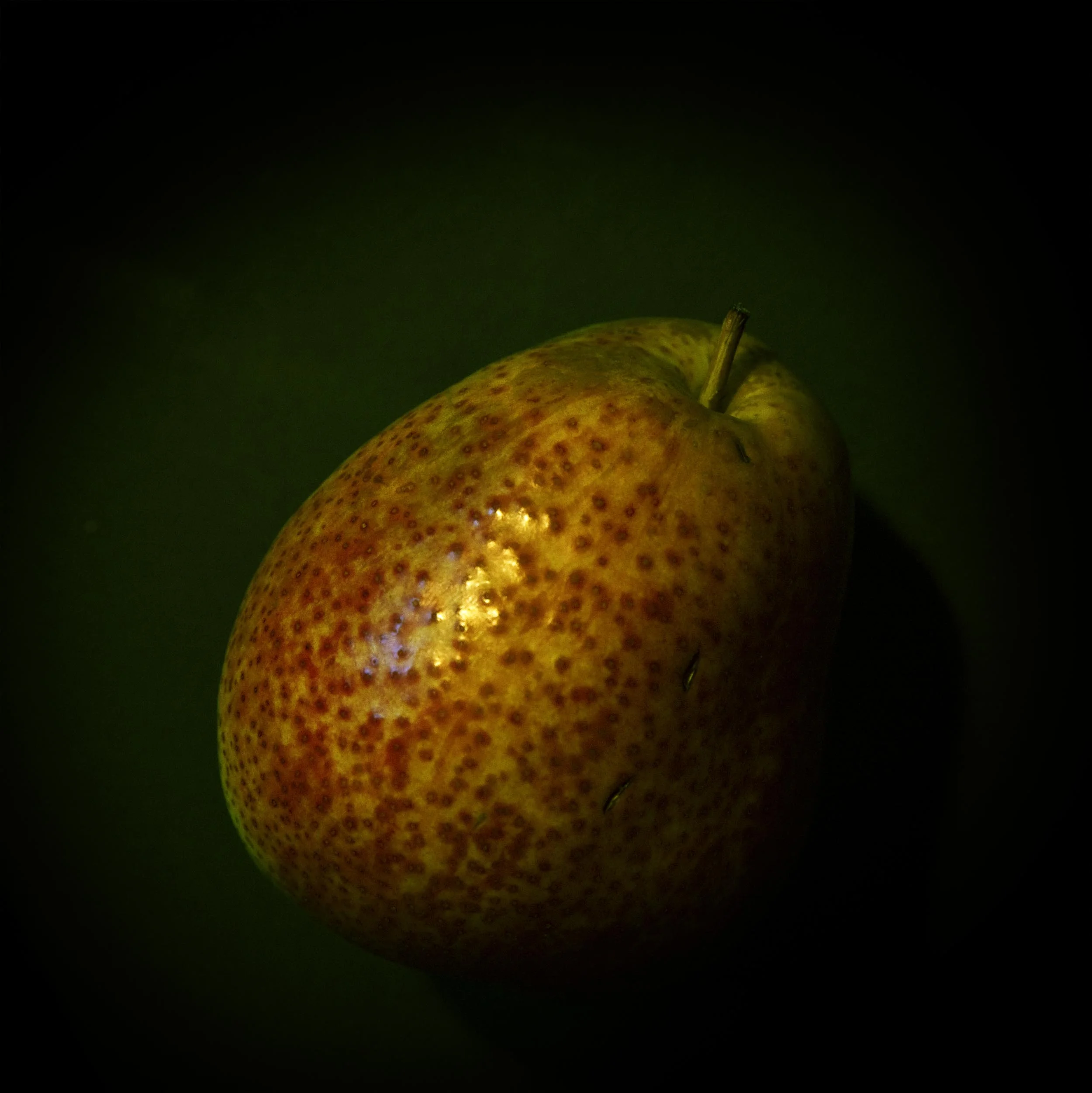0O8W8842r.jpg