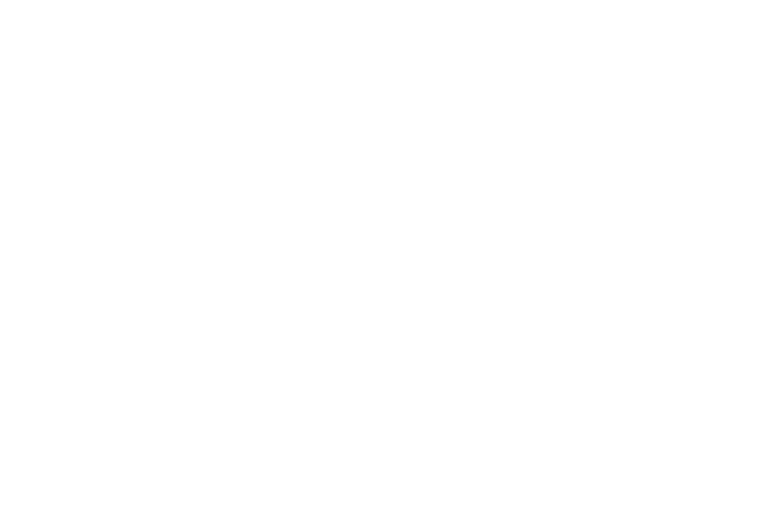 rallycrown-w-.png