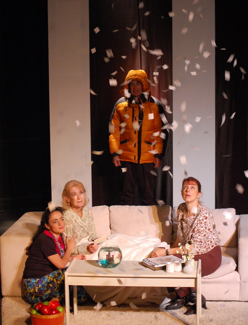 The Clean House by Sarah Ruhl (2013 production)