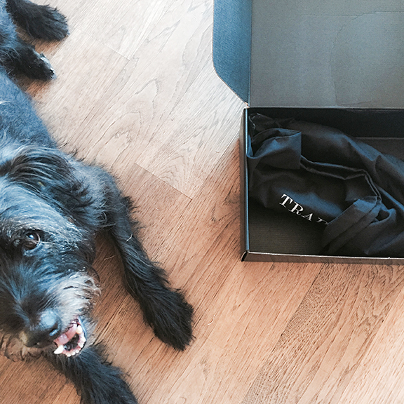 “For God’s sake woman! Buy shoes in the right size!” —Rosie the dog