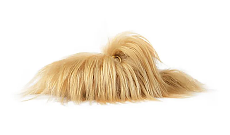 When Grey Gardens Met Gucci