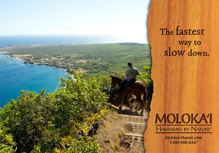 MOLO-00537-Campaign2014_NotTypical_4.jpg