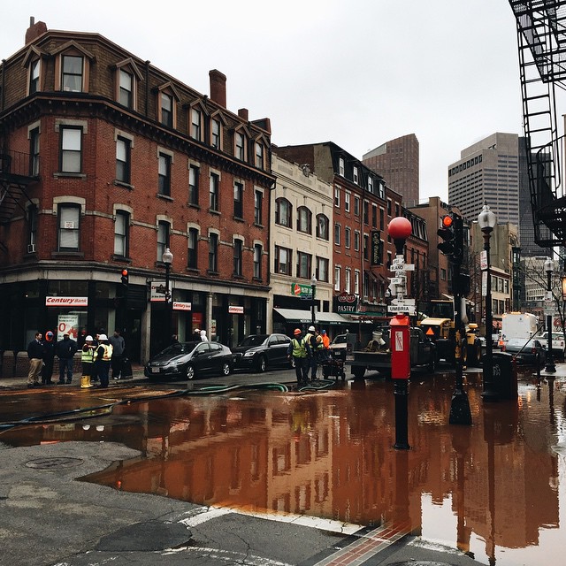 Swimming in the North End