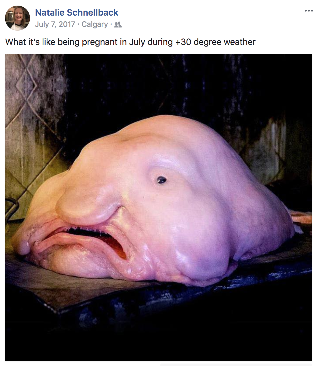Natalie's Summer Facebook Post.png