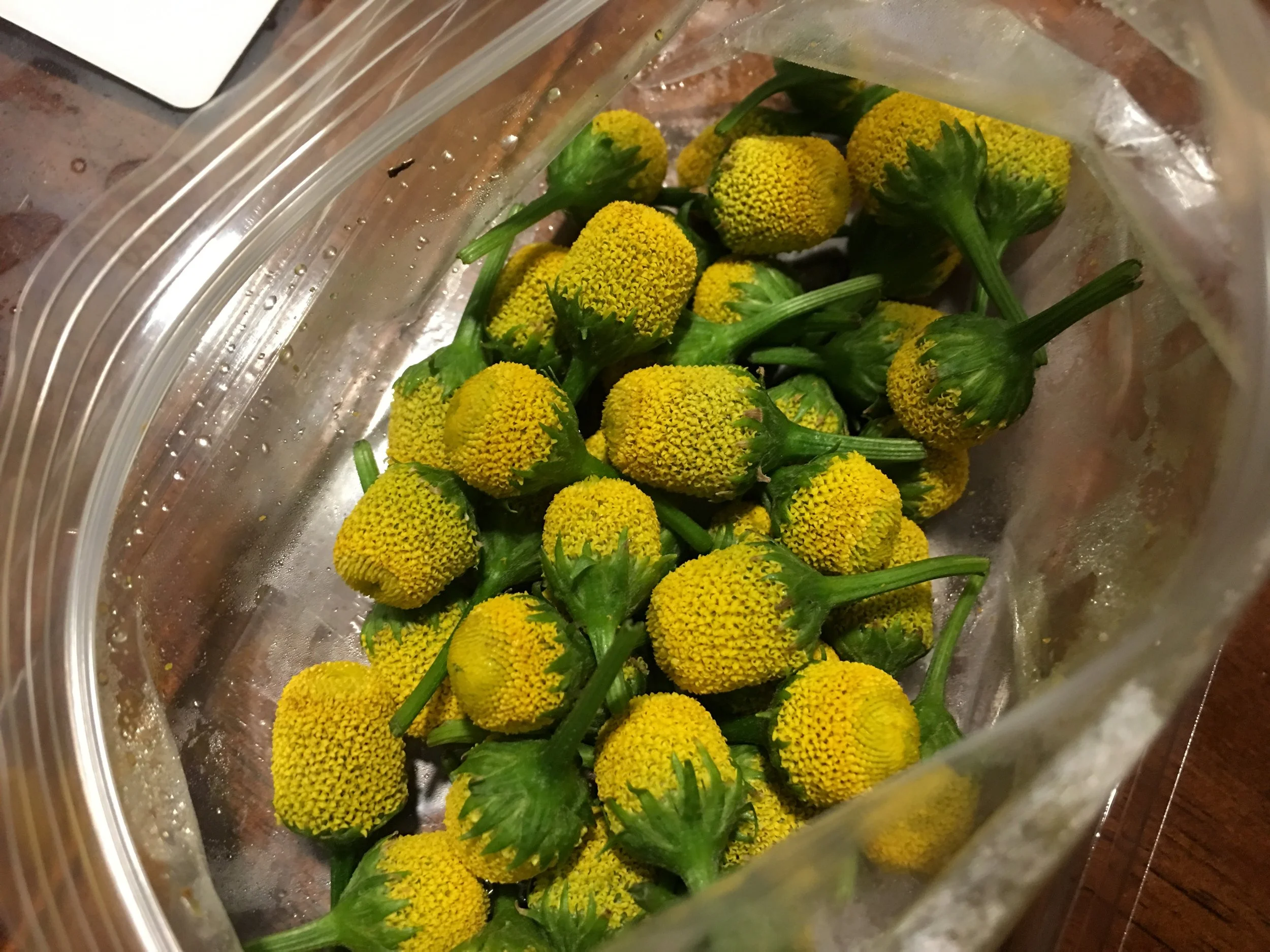 A must-try—Buzz Buttons