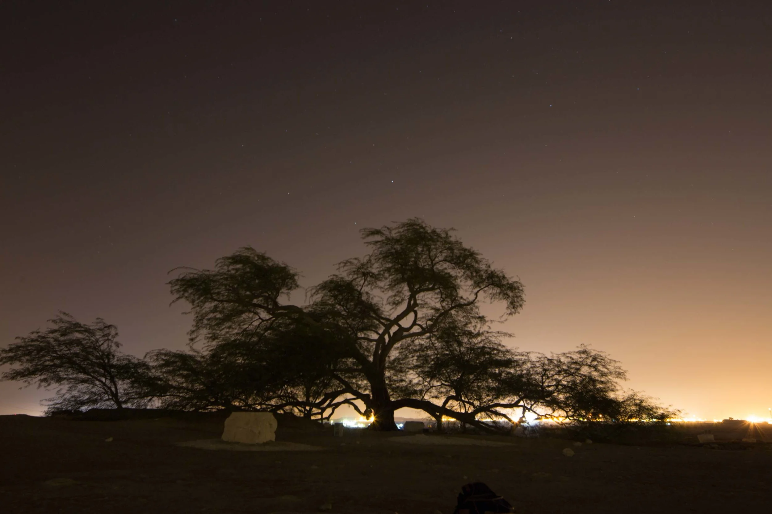 Long exposure allowed the tree to seem brighter than it actually was. 
