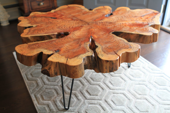 Dawn Redwood Natural Edge Coffee Table