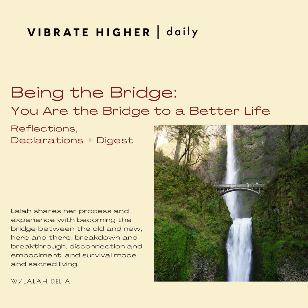 Being the Bridge: Reflections, Declarations + Digest