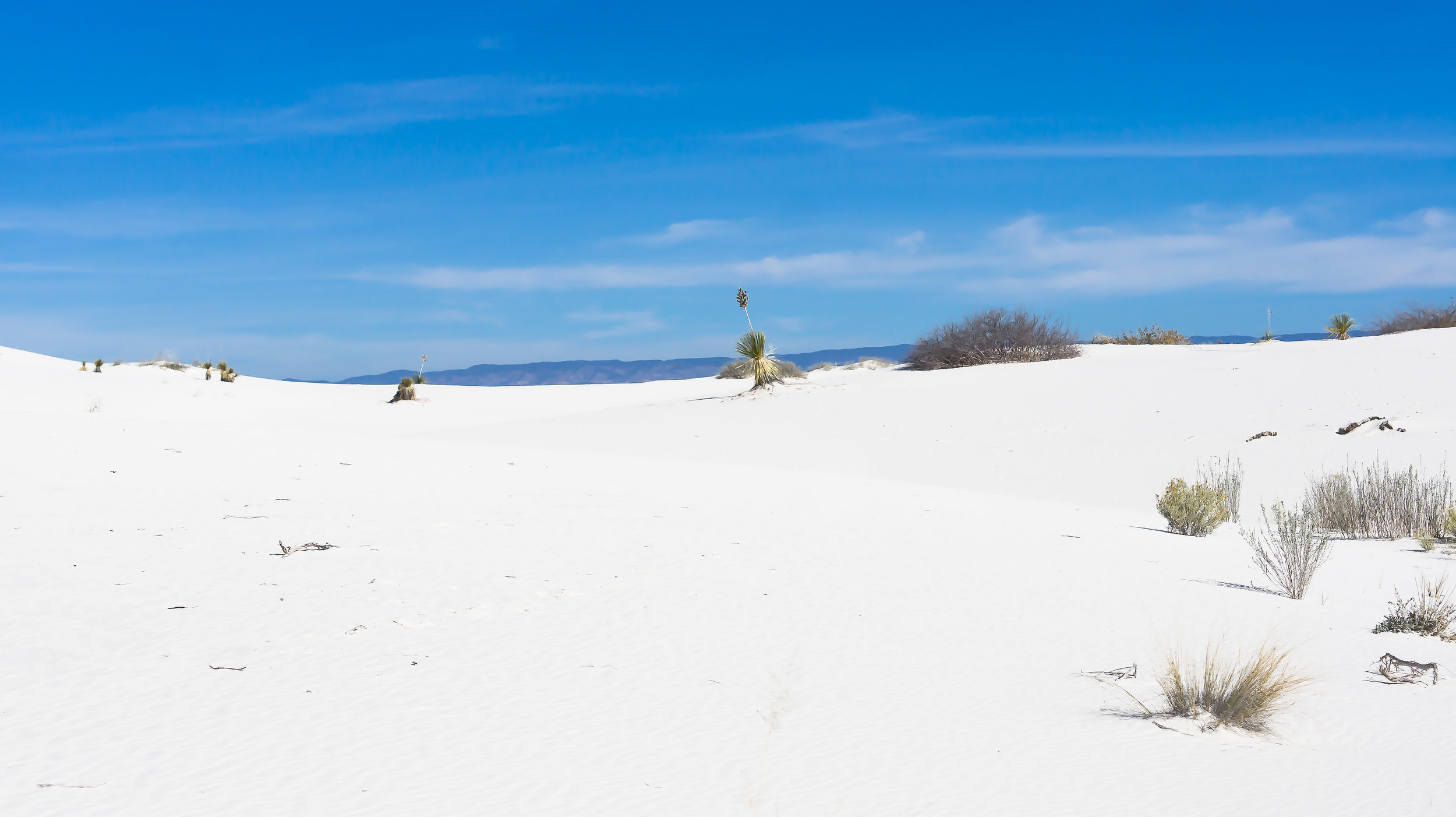 White Sands-041 a-3.jpg
