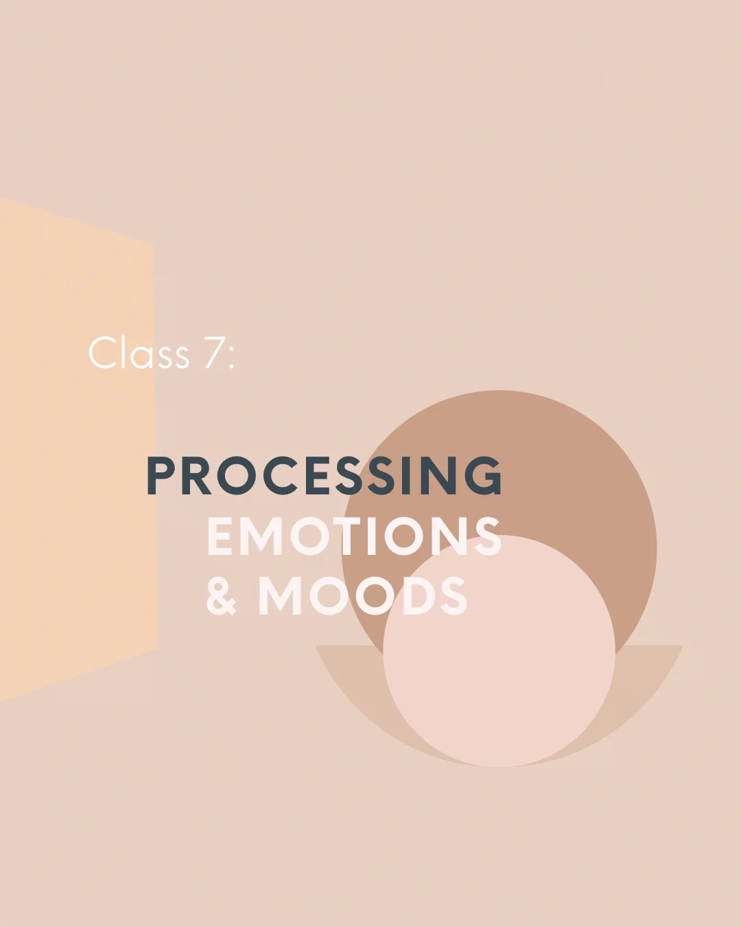Subject  7: Processing Emotions &amp; Moods