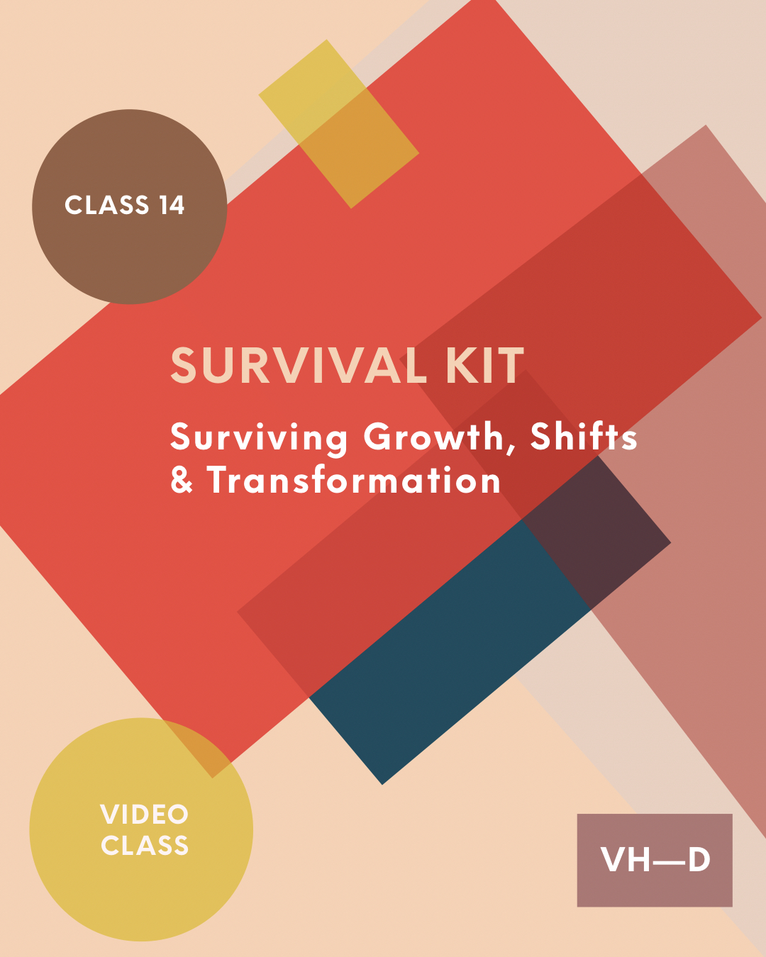 Subject 14: Survival Kit for Growth, Shifts, and transformation