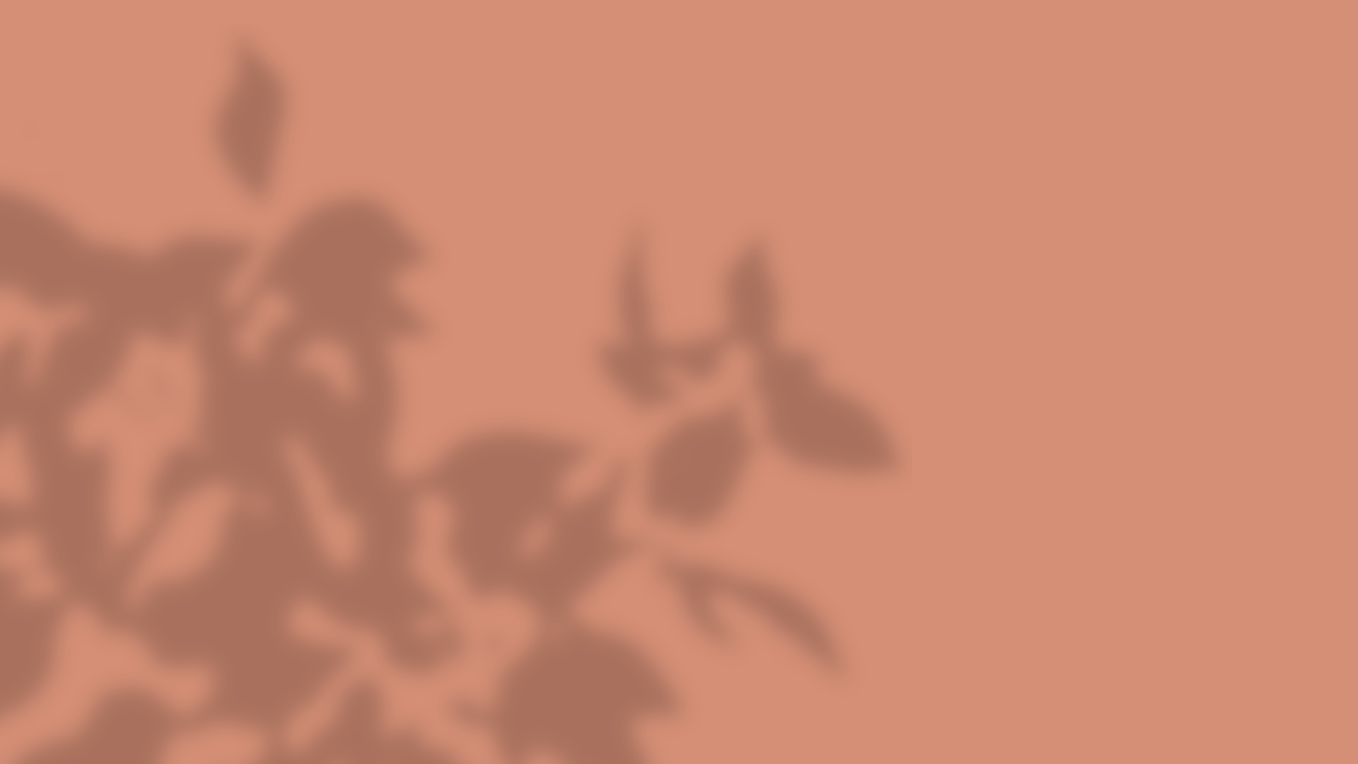 OverProject 20.png