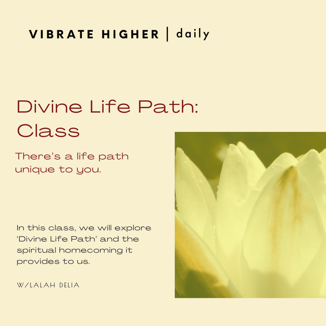 Divine Life Path: Class