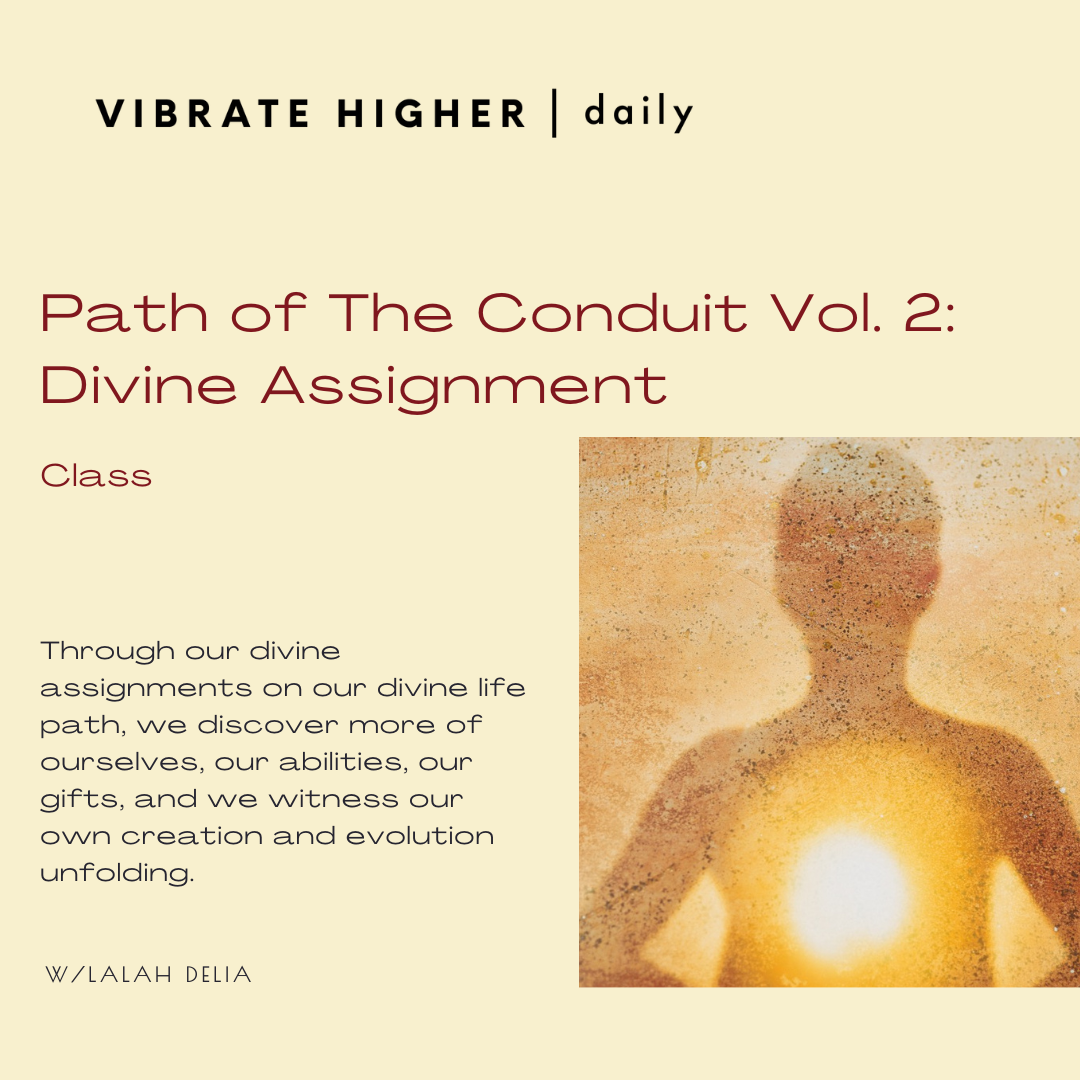 Path of The Conduit Vol. 2: Divine Assignment