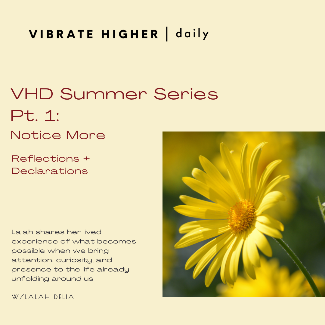 VHD Summer Series Pt. 1: Notice More: Reflections + Declarations 
