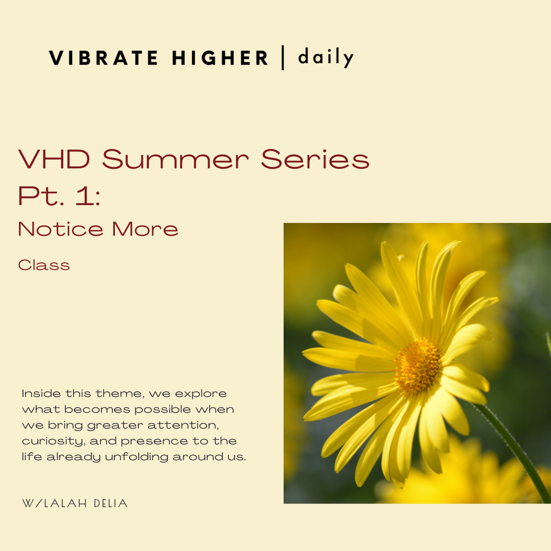 VHD Summer Series Pt. 1: Notice More Class 