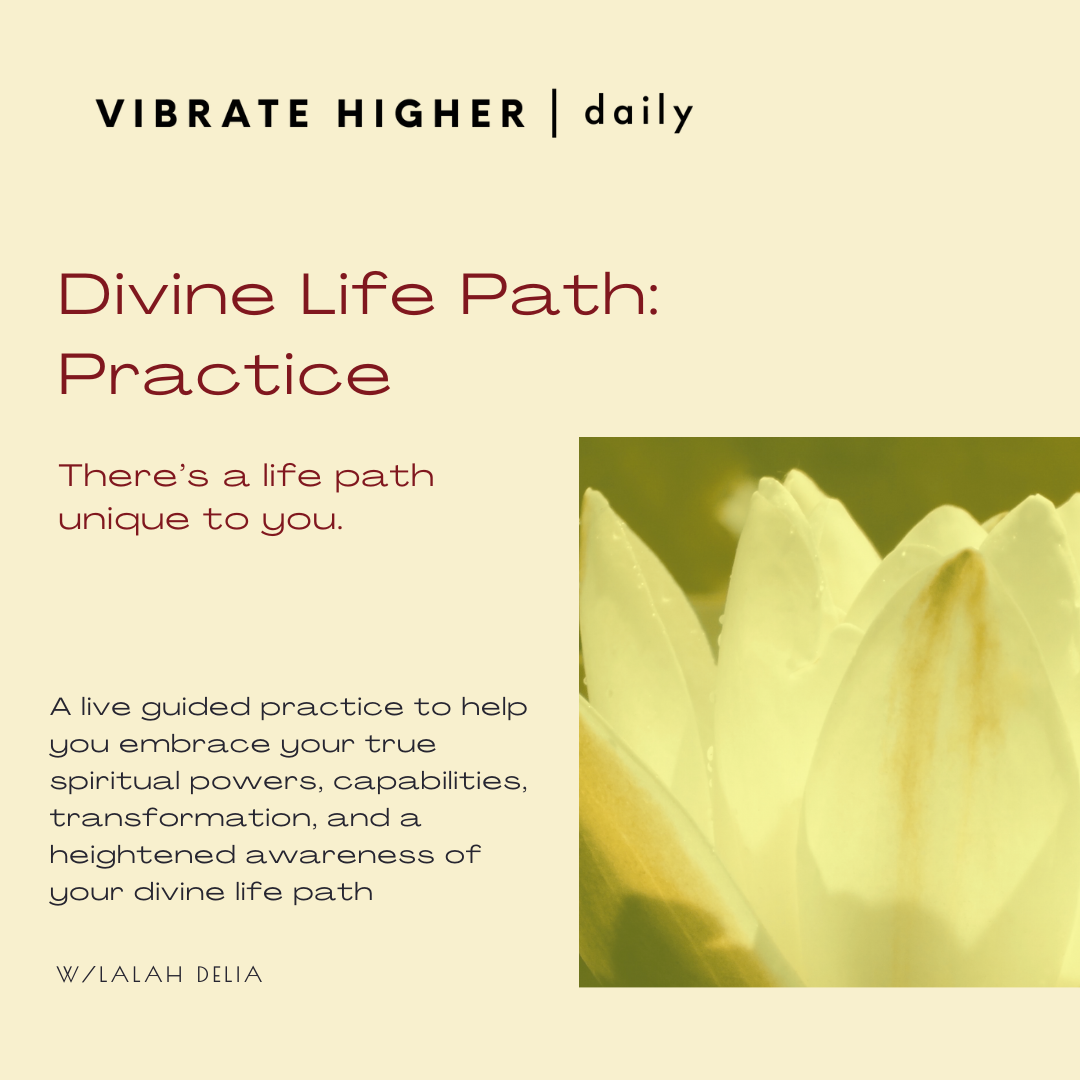 Divine Life Path: Practice 