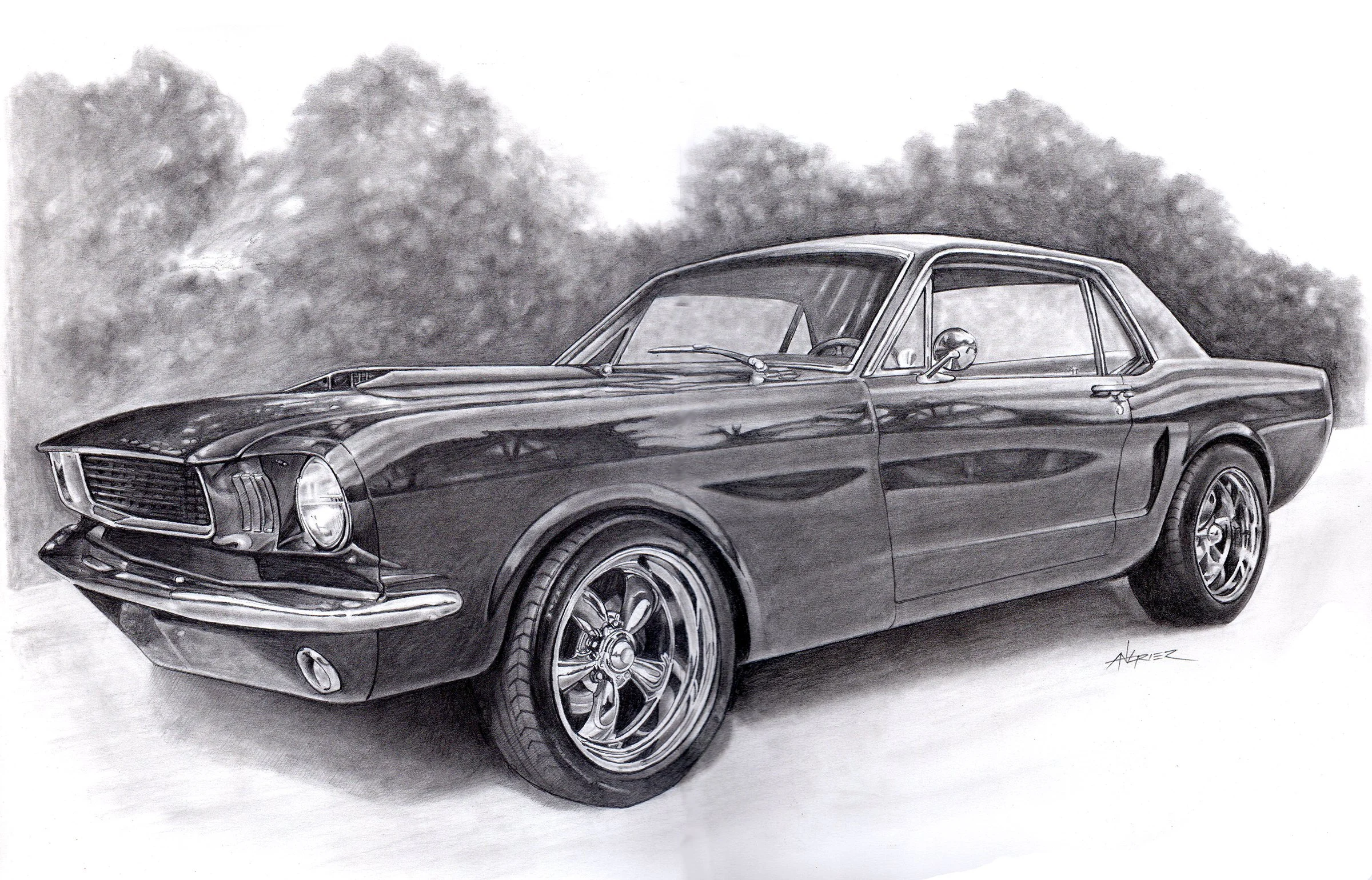 Jeff Stang Final Scan e.jpg