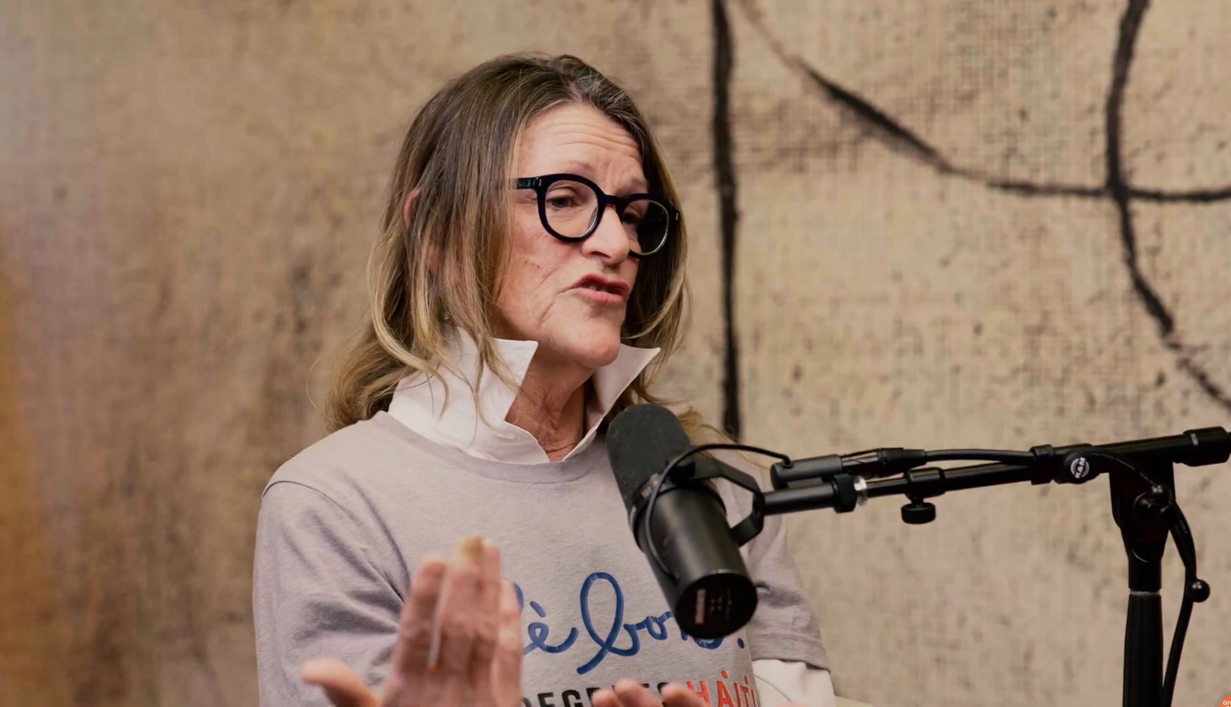 Six Degrees Co-Founder, Jane Hemminger, Featured on Give & Grow DSM Podcast