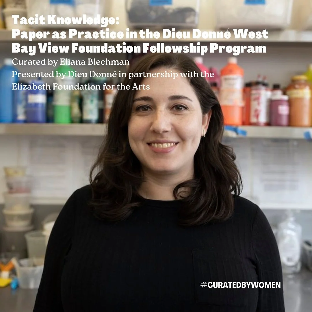 Eliana Blechman (@elianablechman) is a curator and arts worker based in New York. She has held curatorial positions and curated across galleries and institutions.

Her writing has appeared in WhiteHot Magazine of Contemporary Art; Art Spiel; Hand Pap