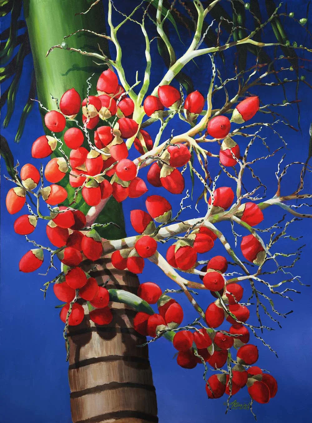 Palm Tree Seeds - medium.jpg