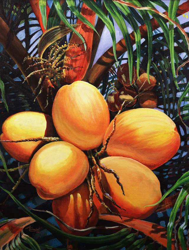 Yellow Coconuts med.jpg