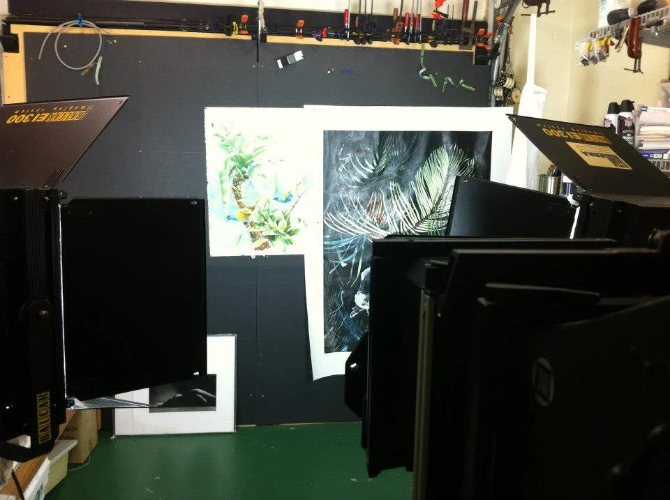 The process is based on all-digital very high resolution scanning of the original artwork. The images are then color balanced to achieve faithful color rendering.