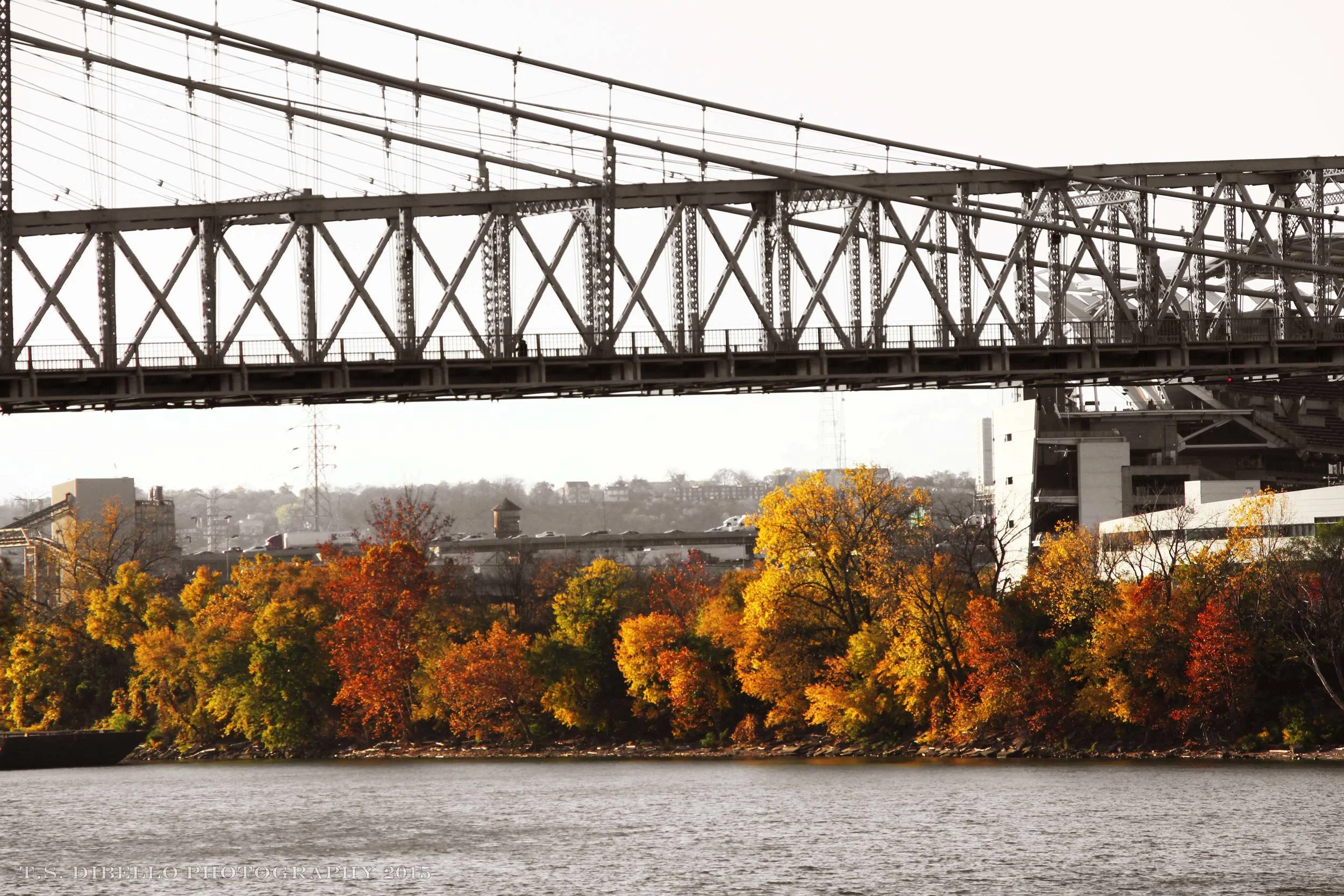 Roebling Bridge 12.c.jpg