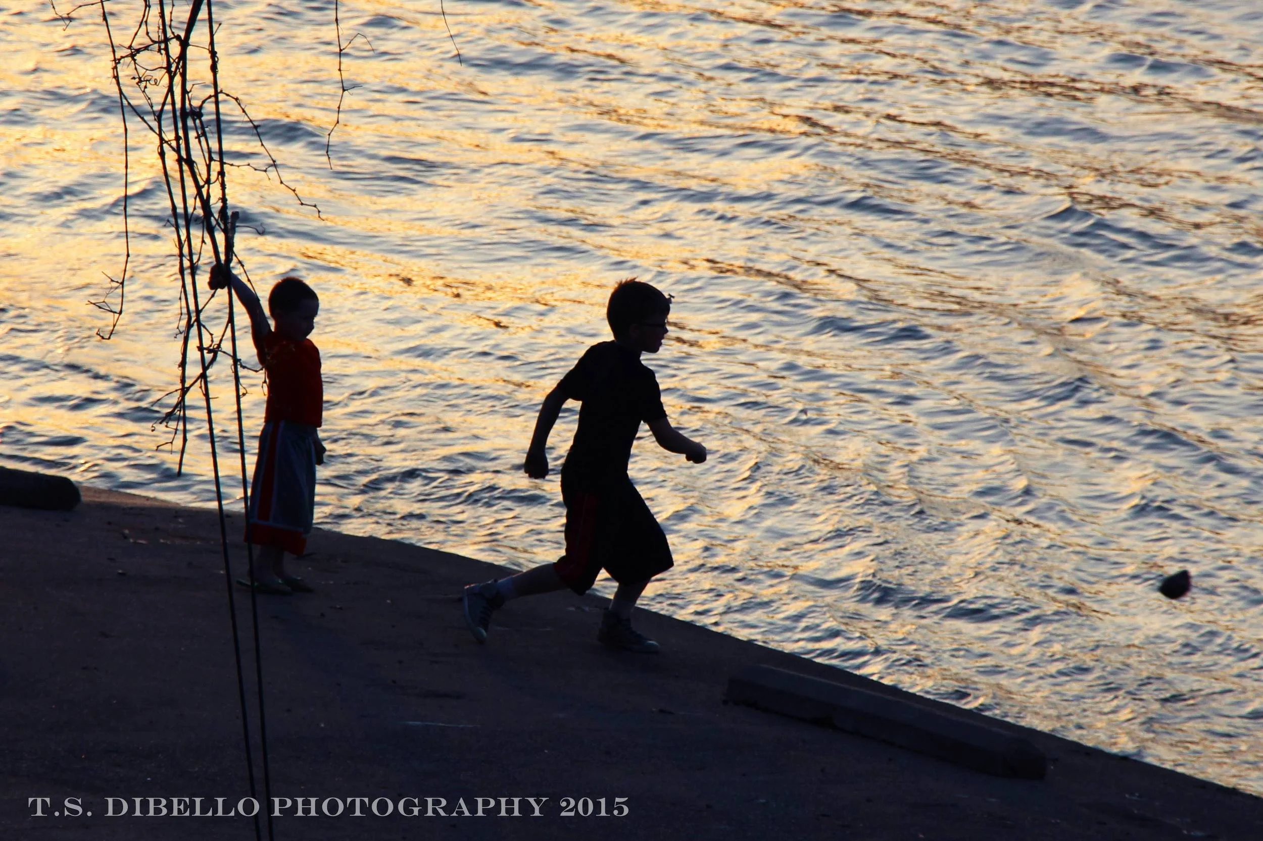 IMG_9170.3.c.jpg