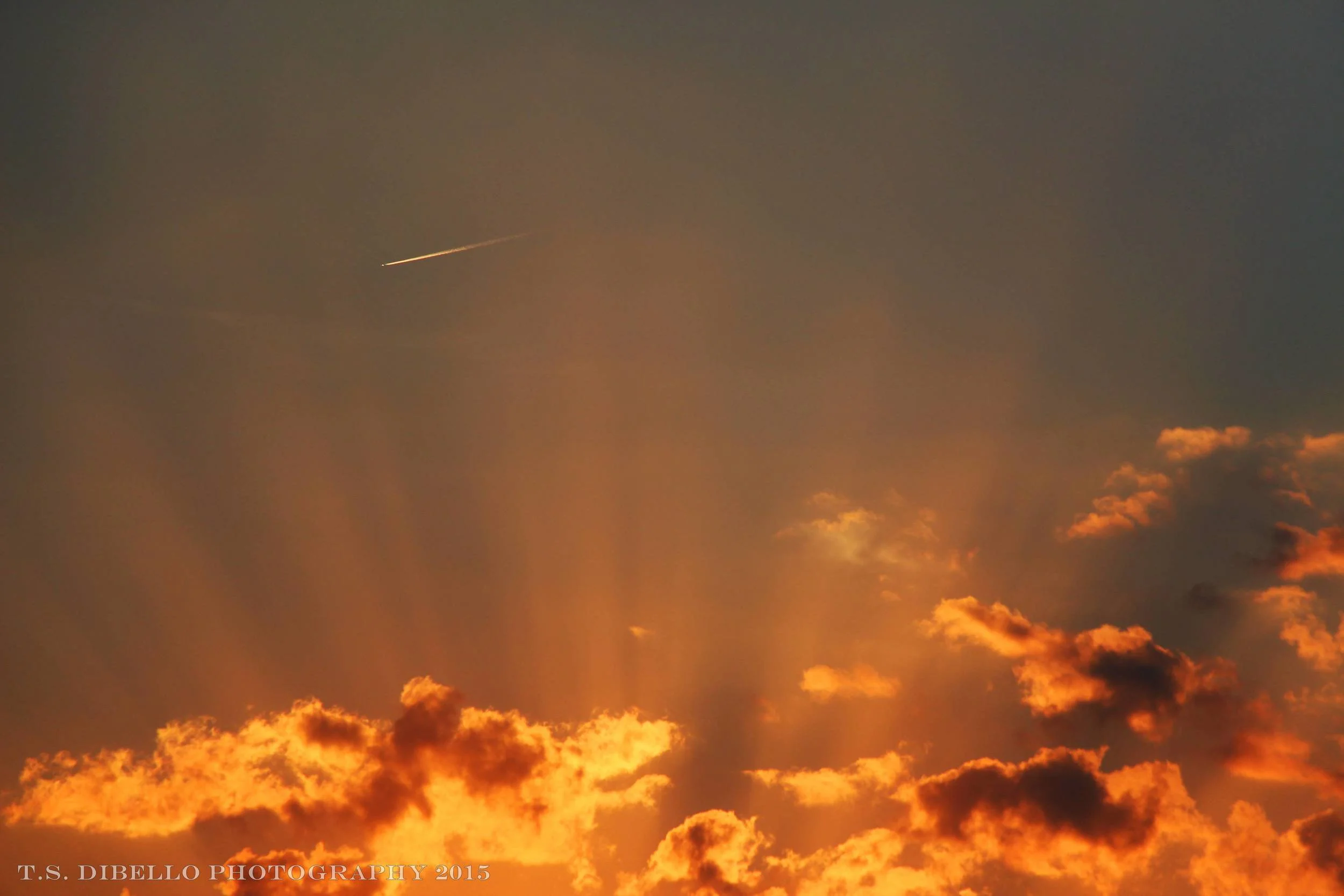 IMG_0841.2.c.jpg