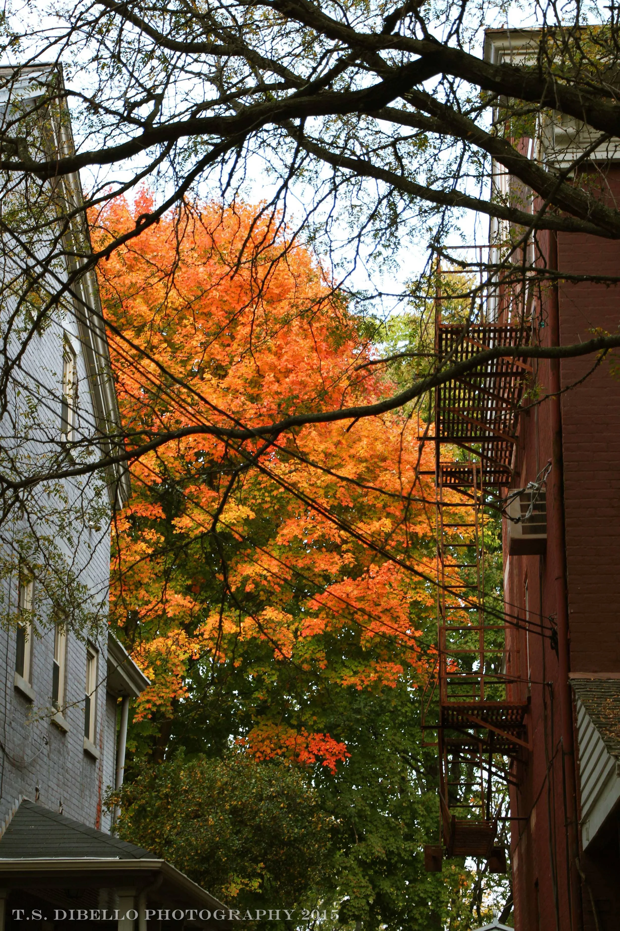 IMG_0960.2.c.jpg