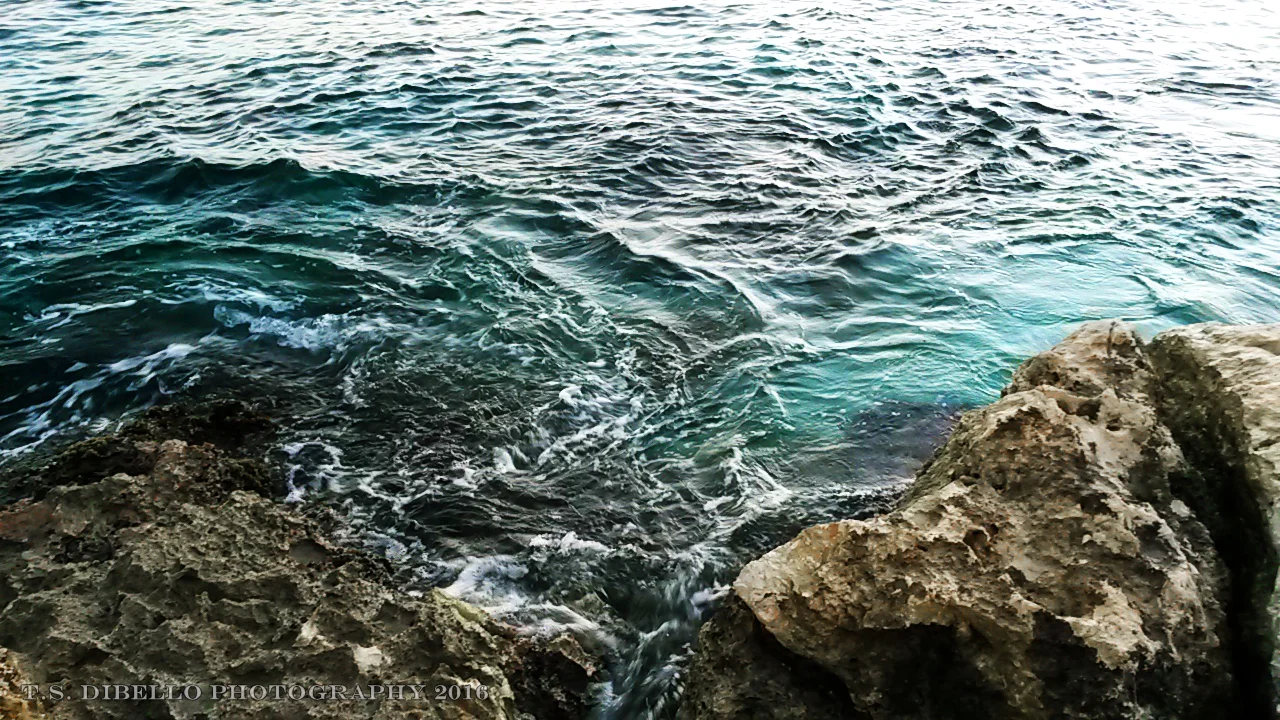 20160116_064138.2.c.jpg