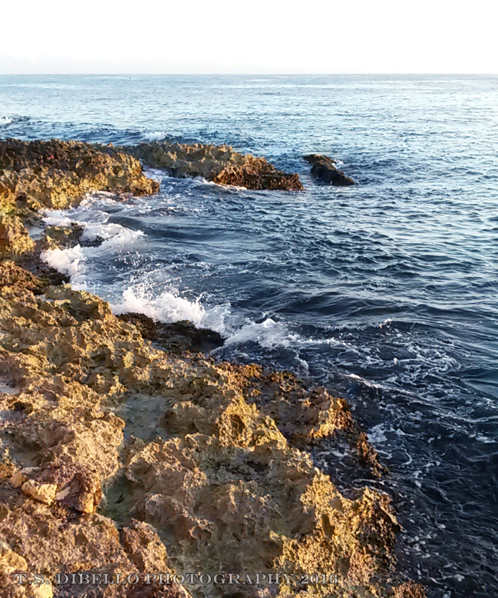 20160116_065631.2.c.jpg