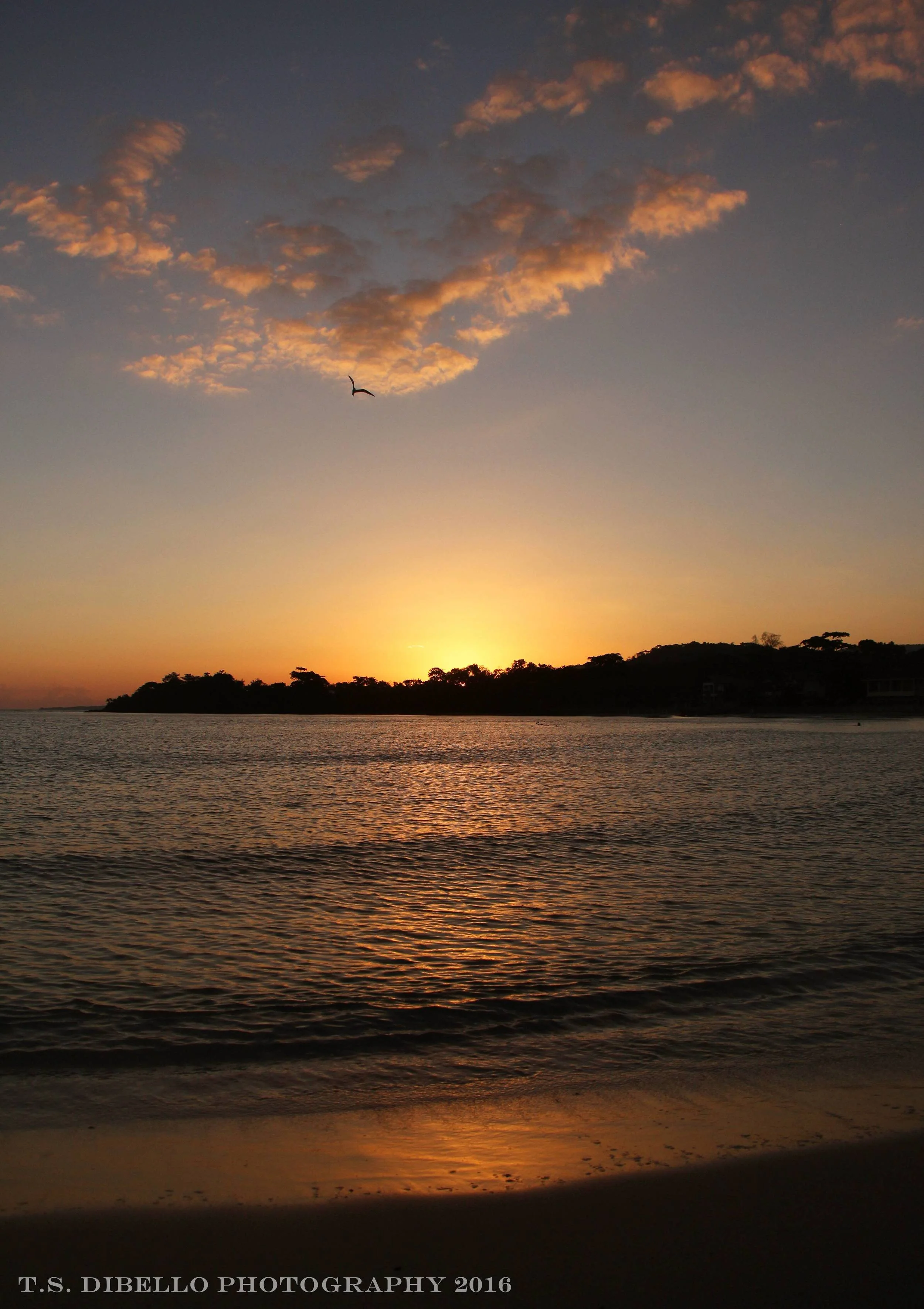 IMG_4868.2.c.jpg